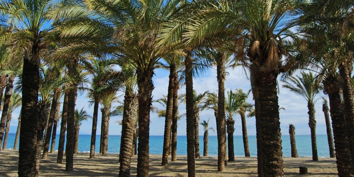 Apartamento Carole Playa Bajondillo Torremolinos Beach - Playa A 30 Segundos - Wifi - Parking - Terraza Lejlighed Eksteriør billede