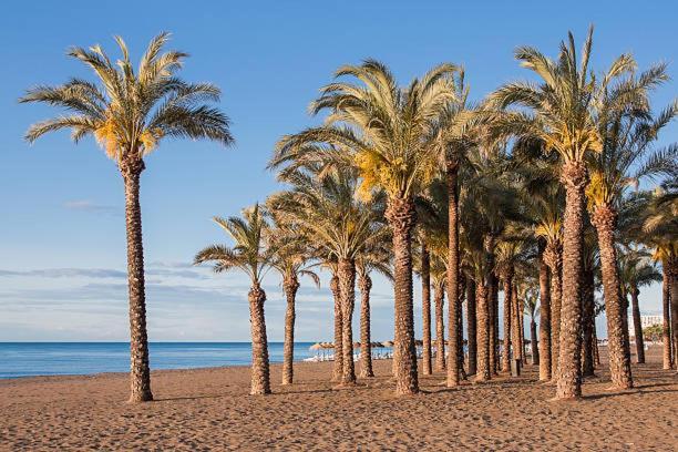 Apartamento Carole Playa Bajondillo Torremolinos Beach - Playa A 30 Segundos - Wifi - Parking - Terraza Lejlighed Eksteriør billede